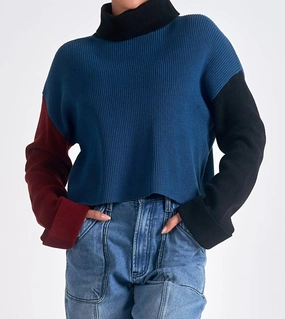 Soft Touch Soft Knit Colorblock Turtle Neck Cropped Sweater In Blue