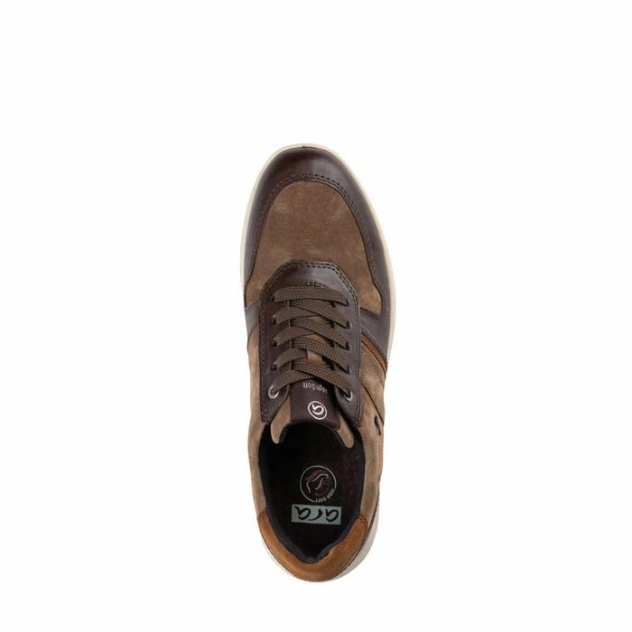 Coffee Run Mens Ara Maverick in Amarone/Sesame/Brown