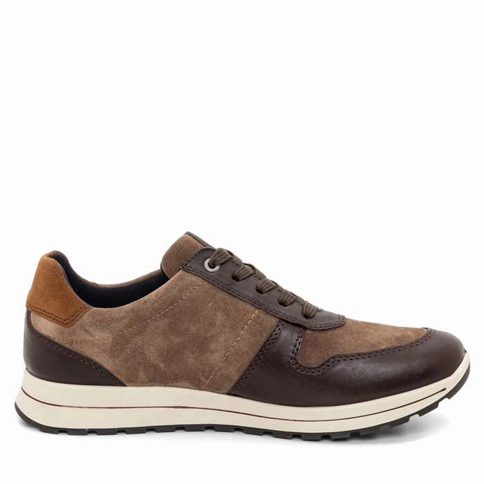 Relaxed Feel Mens Ara Maverick in Amarone/Sesame/Brown