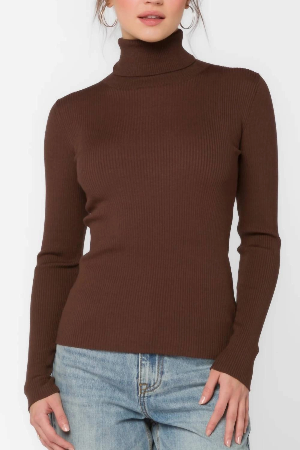 Cozy All-Day Cindy Ribbed Turtleneck In Java Brown