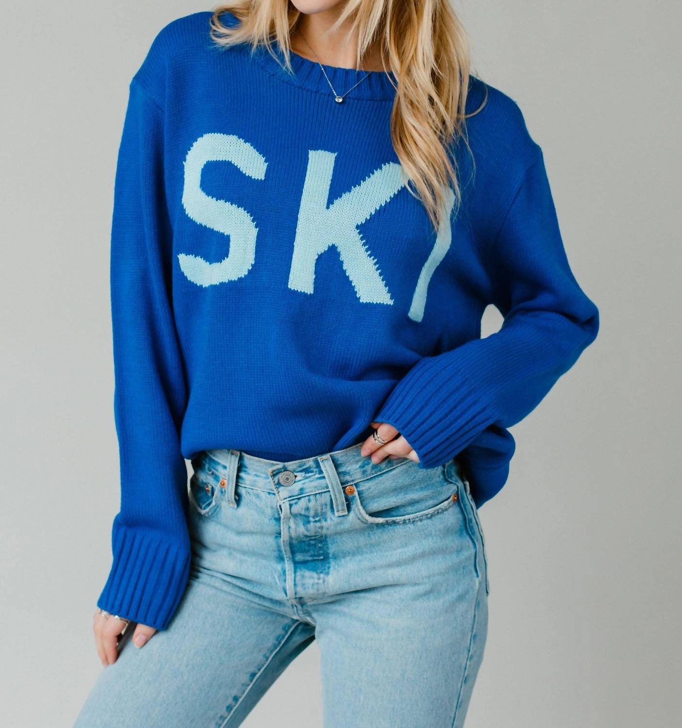 Minimalist Style Snuggly Pieces Ski Sweater In Blue