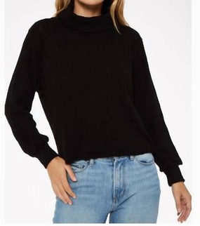 Cozy Texture Yves Ribbed Turtleneck In Black
