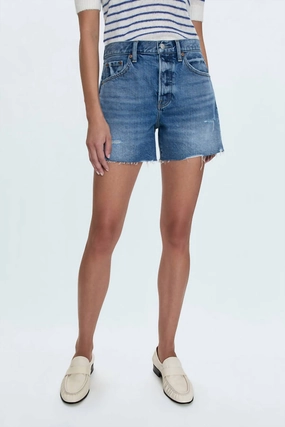 healthcare industry Andie High Rise Vintage Short In Thesis