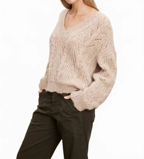 Cozy Basics Chic Comfort Sade V-Neck Knit Sweater In Oatmeal