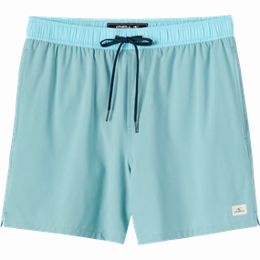 Slim Stretch Cozy Movement Men's Hermosa Lined Volley 15"