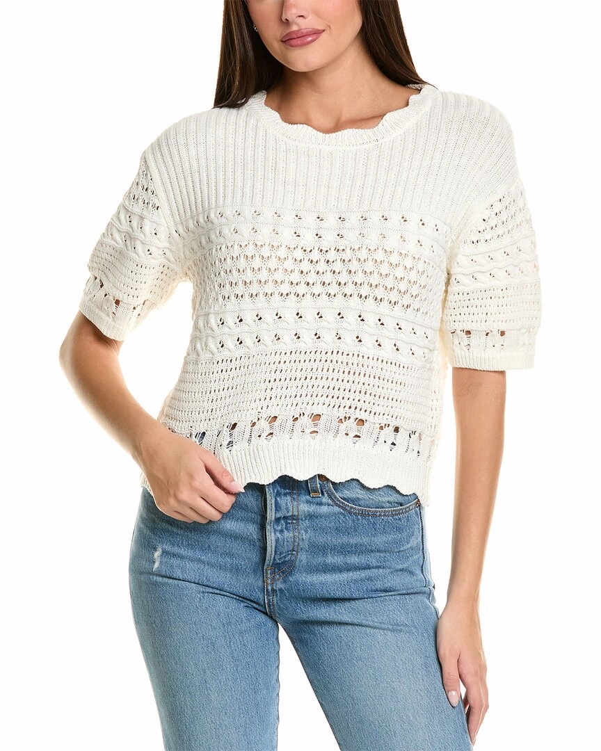 CELESTINE SEI Pointelle Sweater Fashionable Look Soft and Stylish